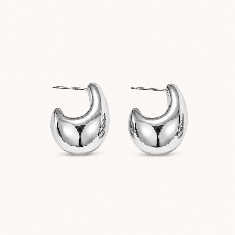 Drop Earrings Silver